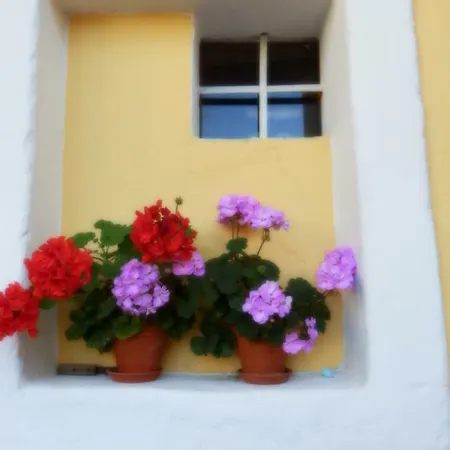 Vintage Guest house